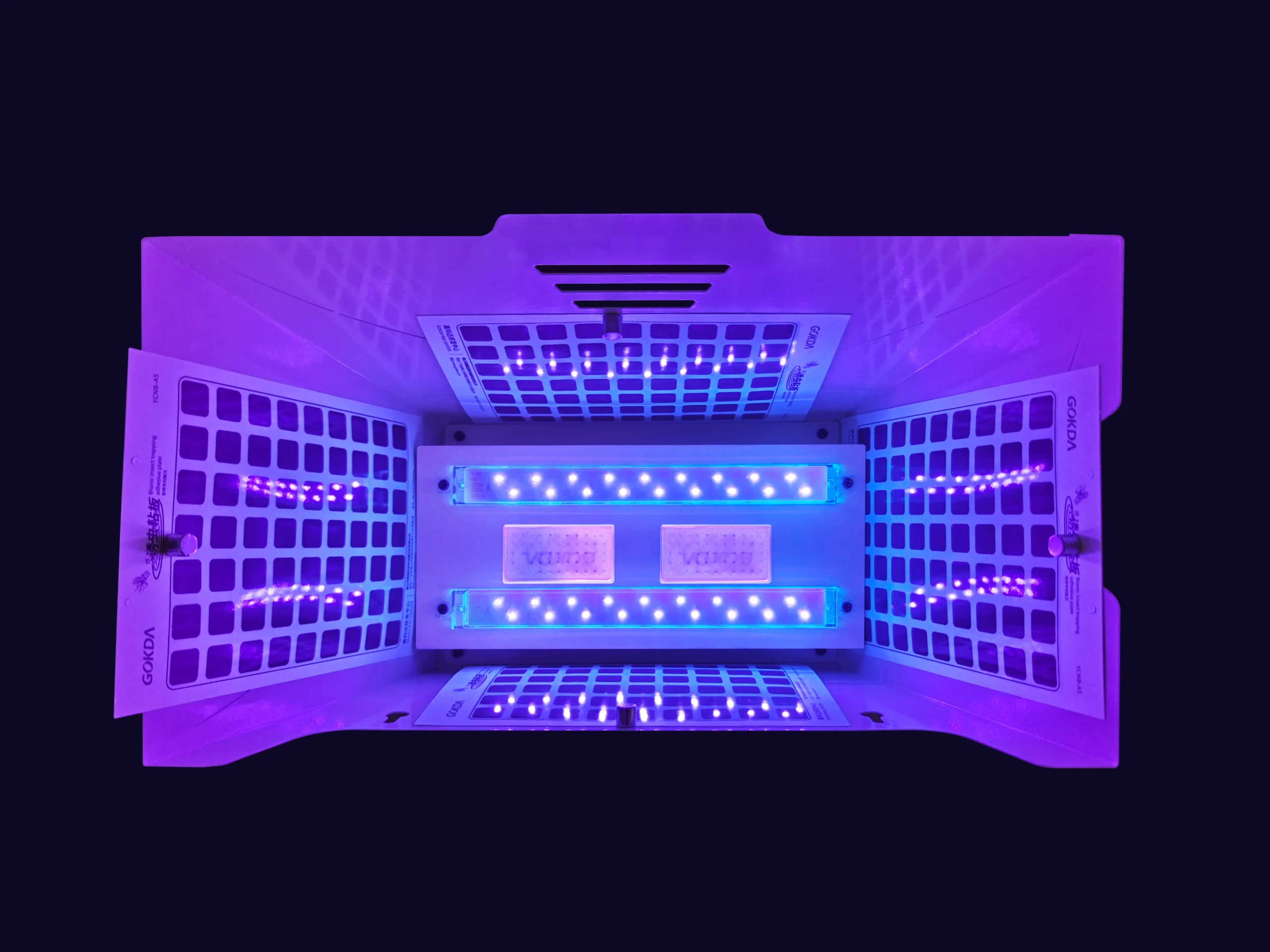 Interior view of GOKDA Nest 3 mosquito trap with UV LED lights powered on, glowing blue amidst surrounding sticky glue boards.